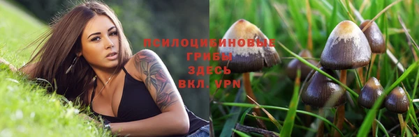 бошки Баксан