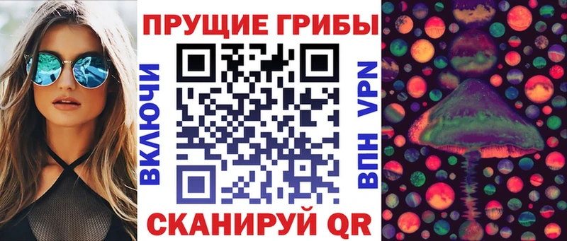 Псилоцибиновые грибы Magic Shrooms  купить  цена  гидра маркетплейс  Магас 